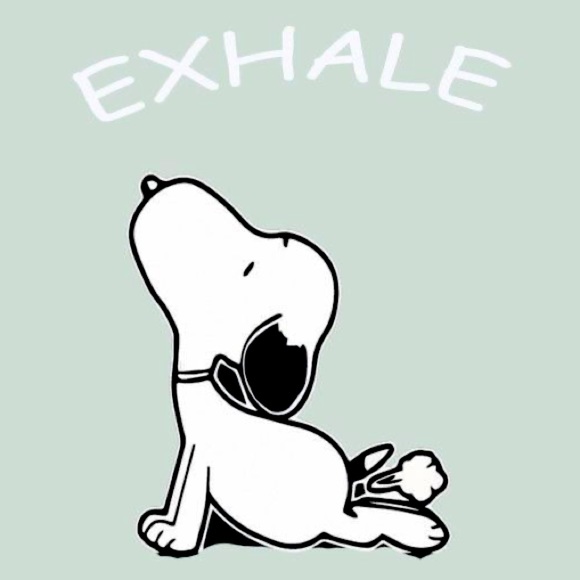 Meet Your Posher - Picture 1 of 1